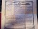 Pasquale Lauro born 1883 Naturalization doc